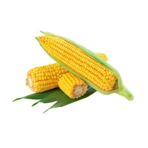 Corn